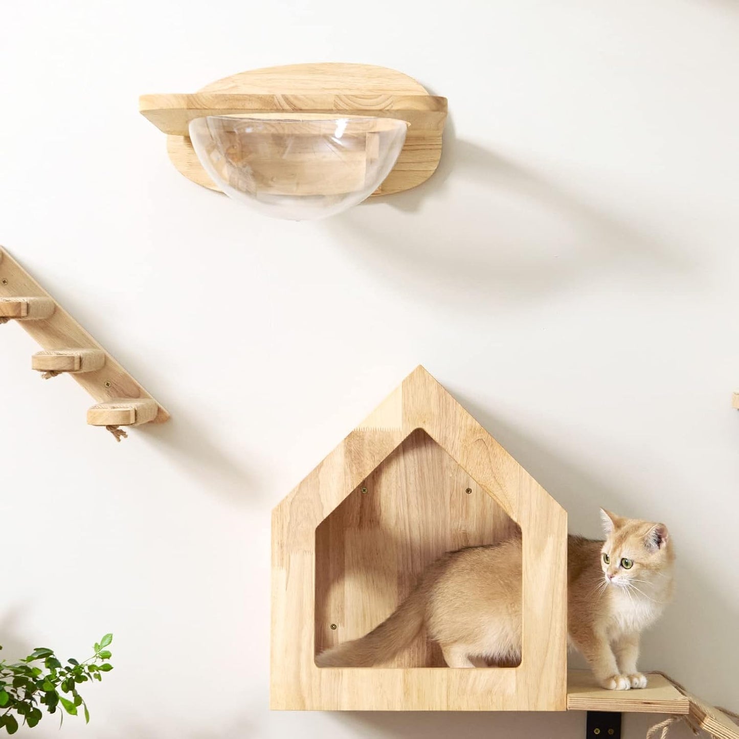 Elevated Cat Adventure Set