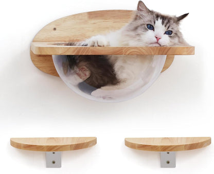 Elevated Cat Adventure Set