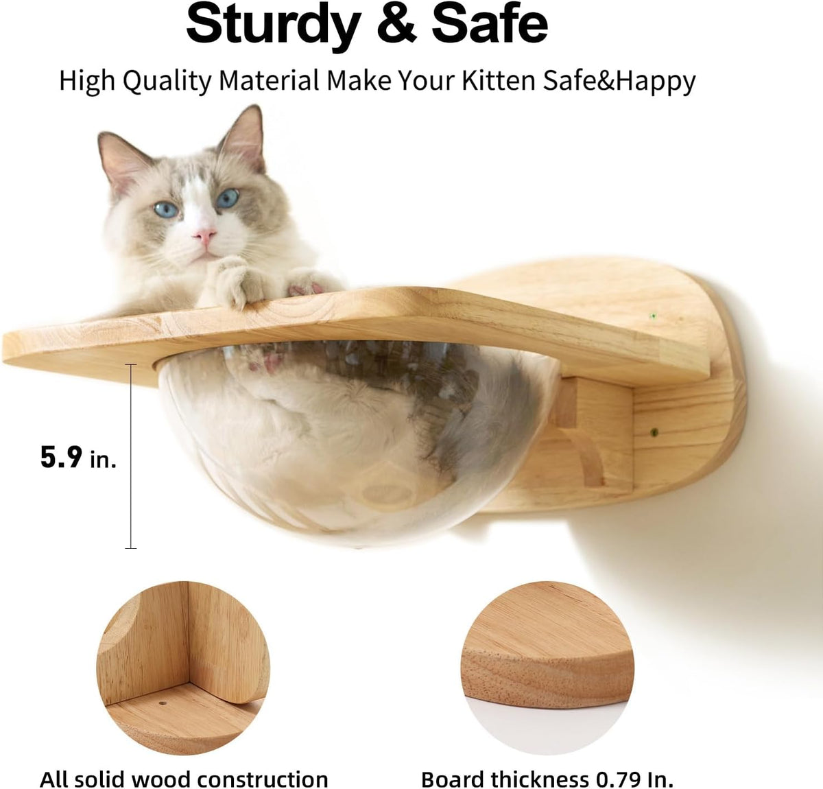 Elevated Cat Adventure Set