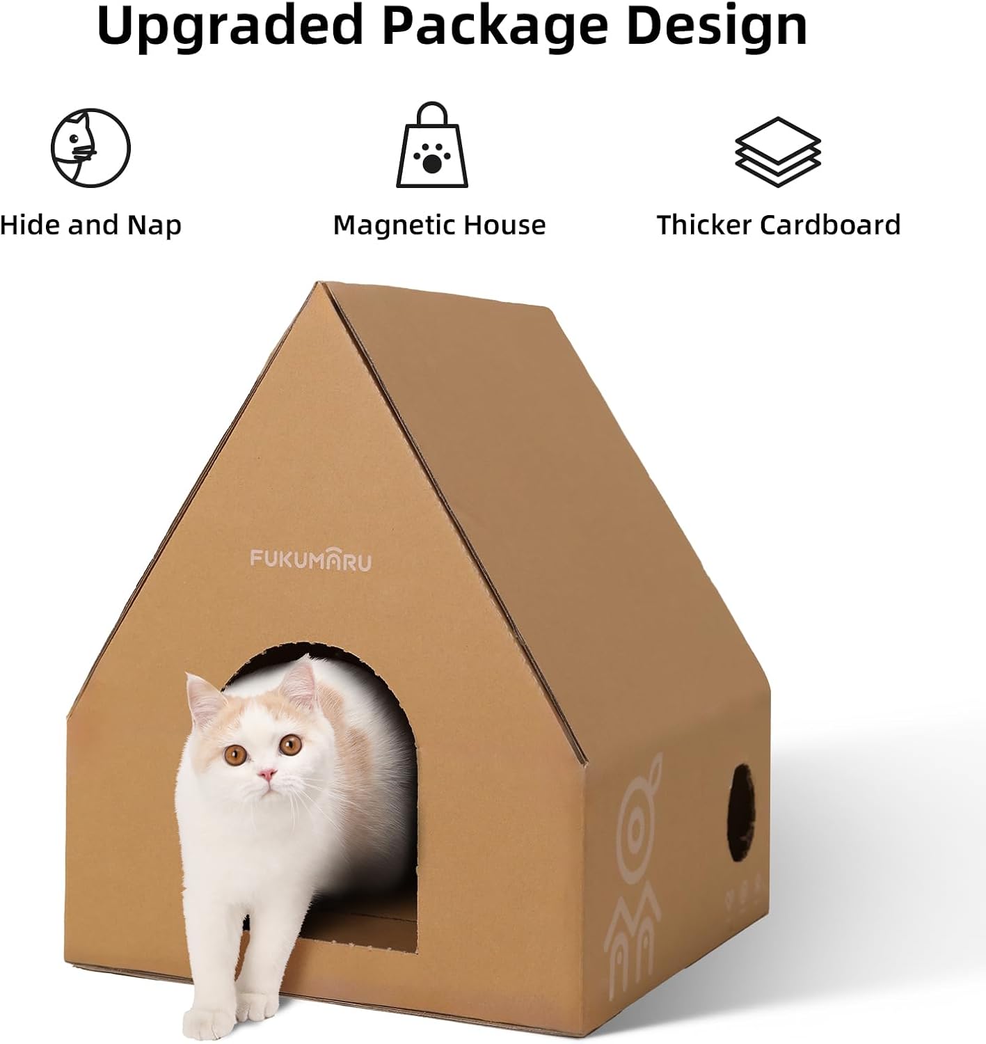 Elevated Cat Adventure Set