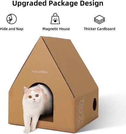 Elevated Cat Adventure Set