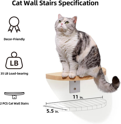 Elevated Cat Adventure Set