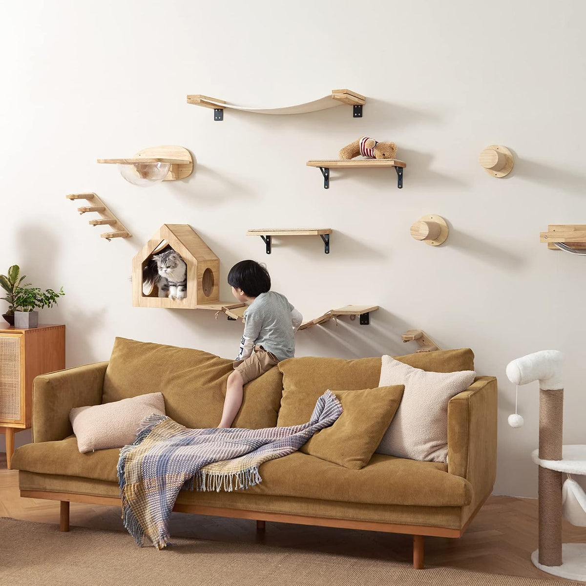 Elevated Cat Adventure Set