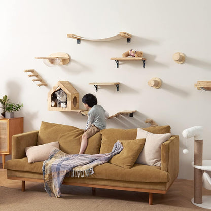 Elevated Cat Adventure Set