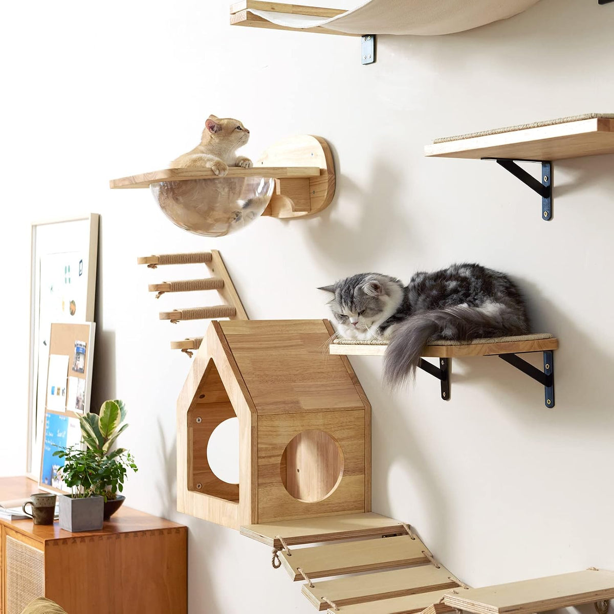 Elevated Cat Adventure Set