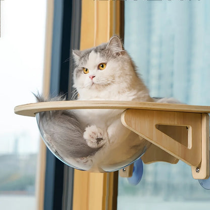 The Nuvo Capsule — Window Cat Perch