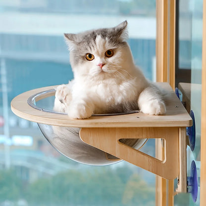 The Nuvo Capsule — Window Cat Perch