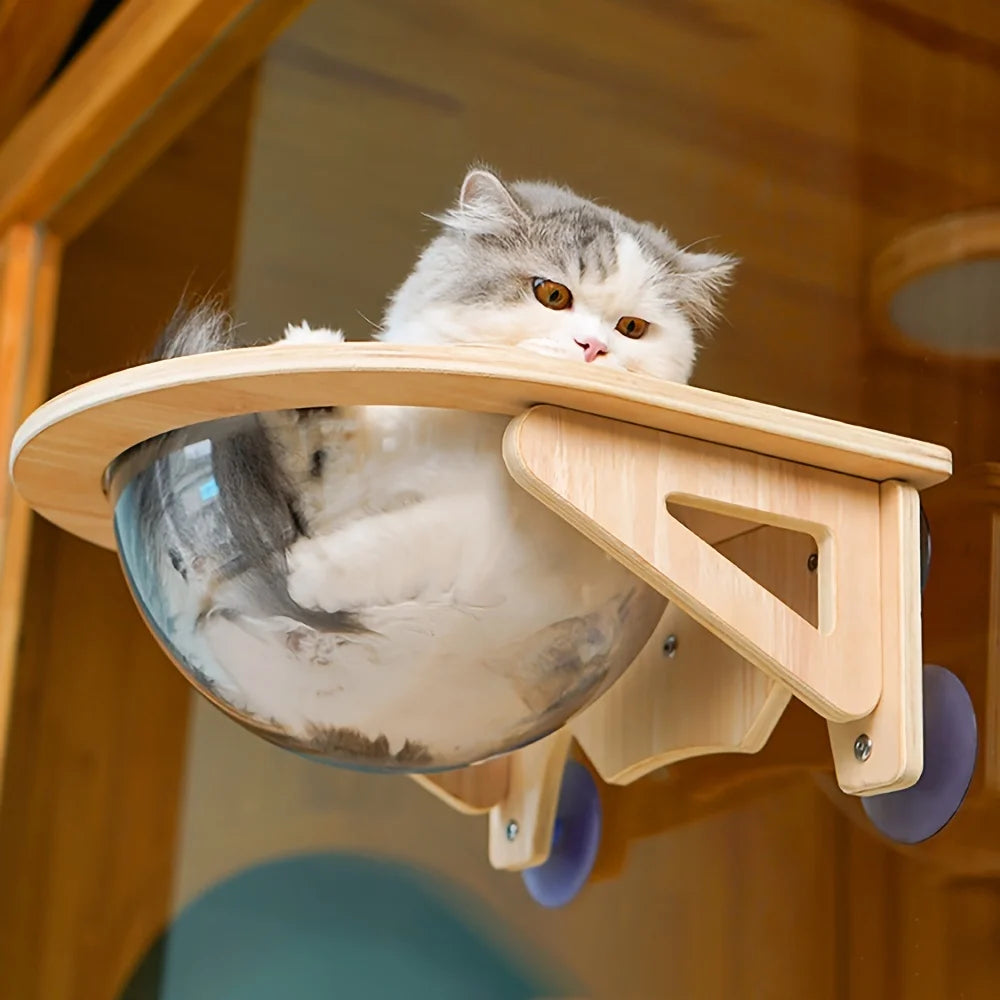 The Nuvo Capsule — Window Cat Perch